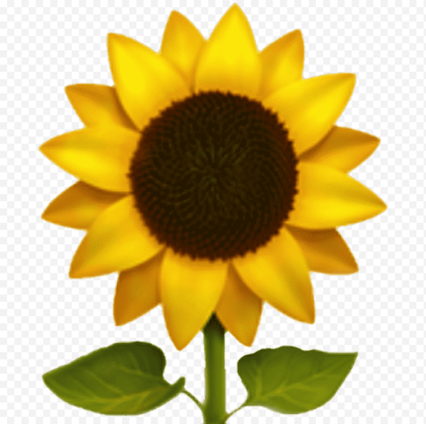 Эмодзи подсолнух на айфоне