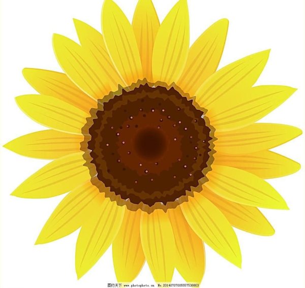 Цветок с улыбкой Takashi