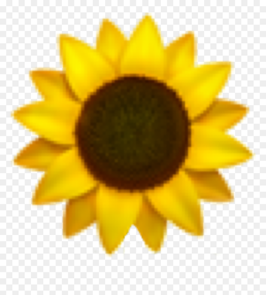 Подсолнух Смайл