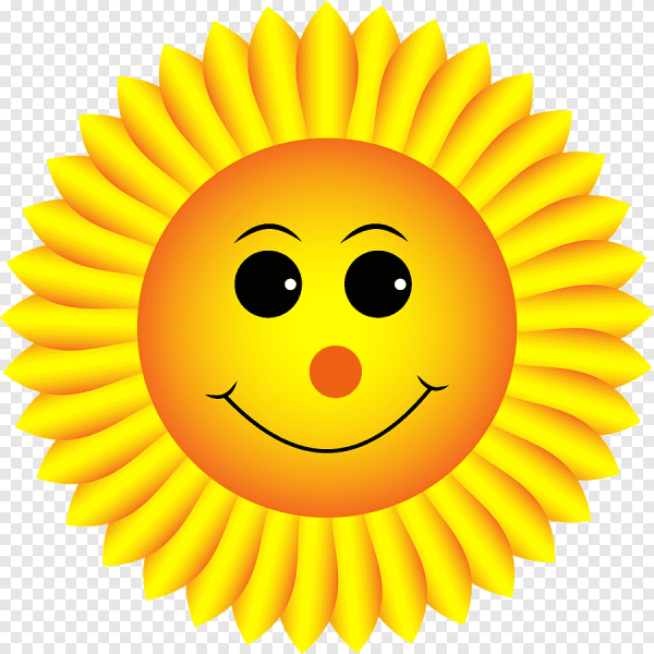 Подсолнух смайлик на айфоне