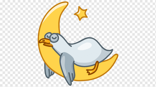 Чайка Джо Стикеры