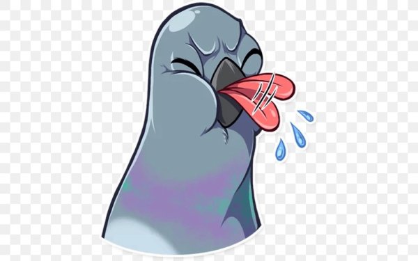 Стикеры телеграмм Чайка Джо