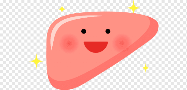 Печень мультяшка