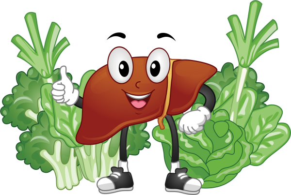 Печень мультяшка