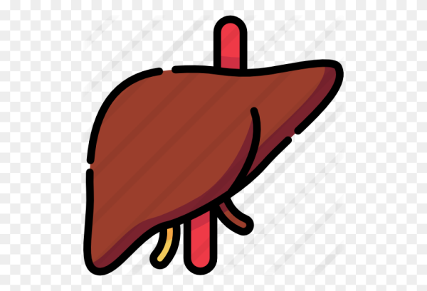 Гусиная печень рисунок