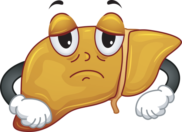 Грустная печень