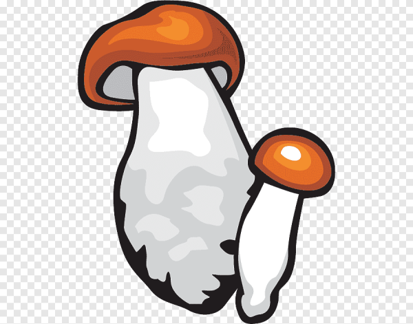 Смайлик гриб на белом фоне