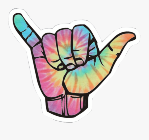 СВЕГ руками