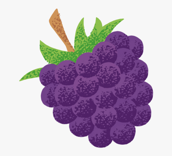 Ежевика мультяшная