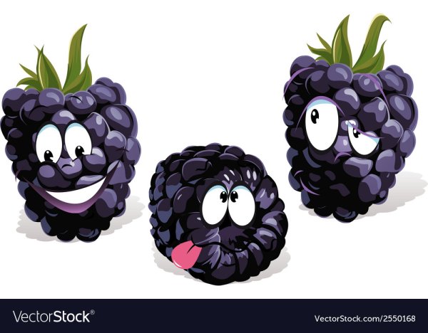 Ежевика с глазками