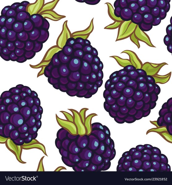 Паттерн ежевика вектор