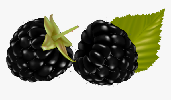 Ежевика мультяшная