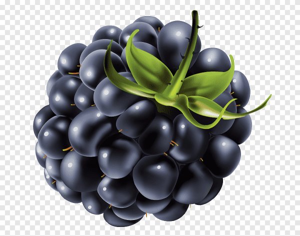 Ежевика 1 ягода