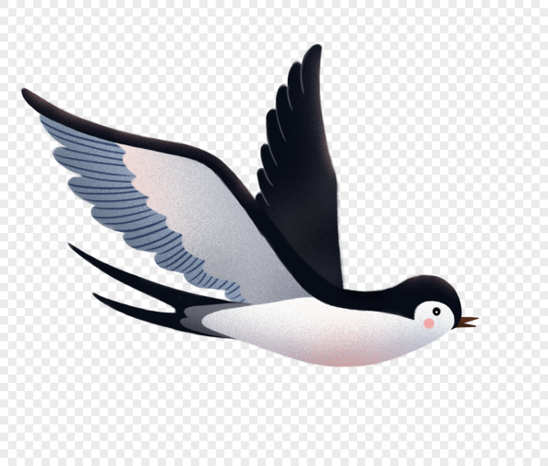 Ласточка картинка для детей на прозрачном фоне