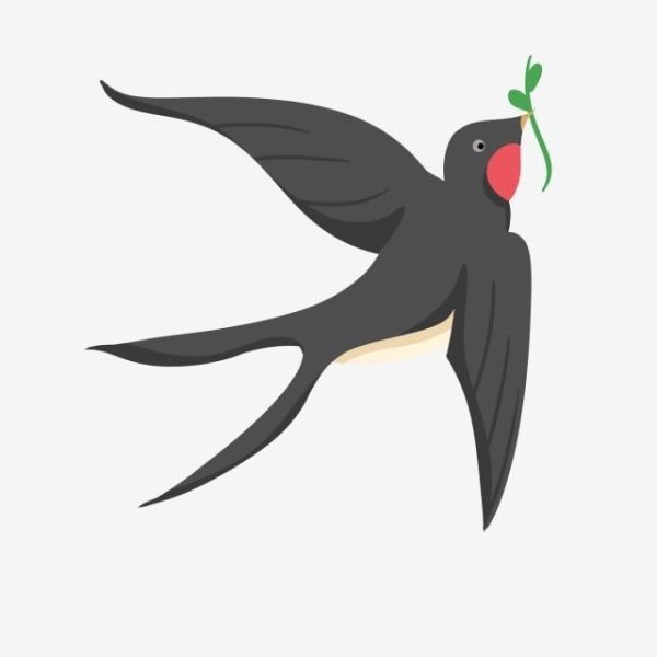 Картинка Ласточка для детей в детском саду