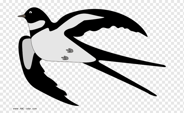 Ласточка из Дюймовочки на белом фоне