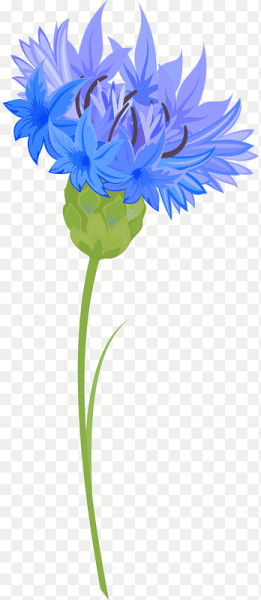 Василек мультяшная