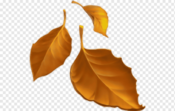 ЭМОДЖИ осенние листья