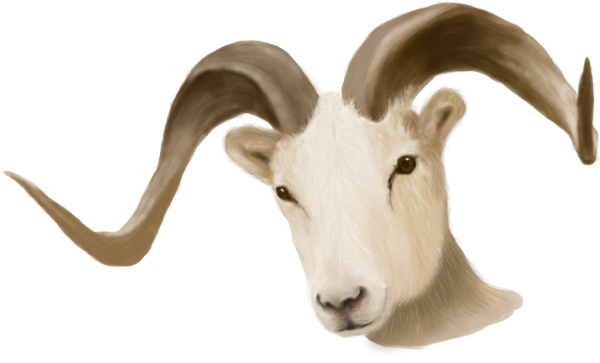 Рог барана фон