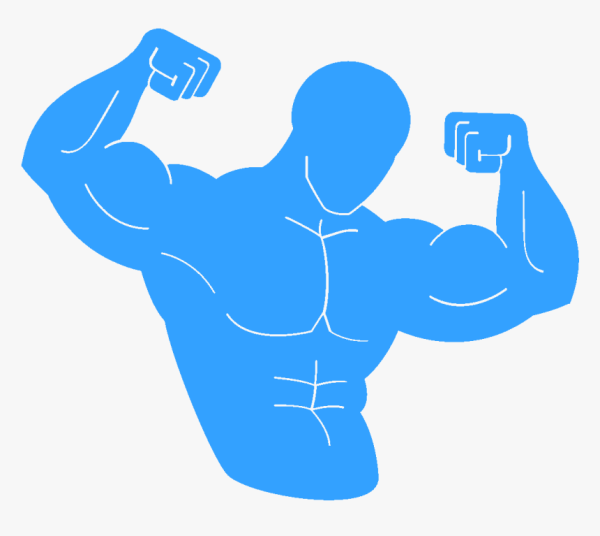 Мускулы руки