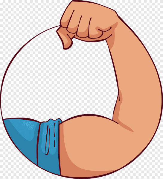 Сильные руки вектор