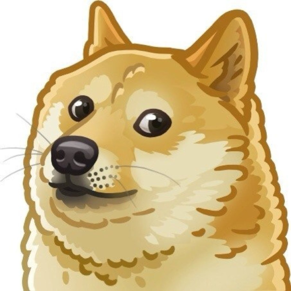 Doge собака