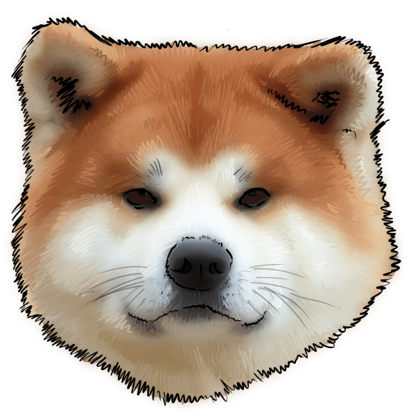 Японская Акита ину