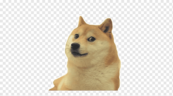 Сиба-ину Dogecoin