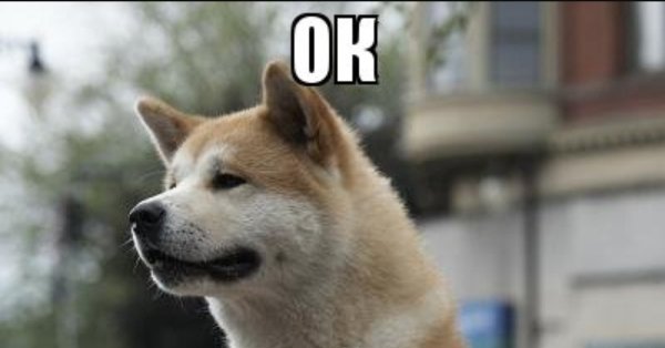 Хатико ждет