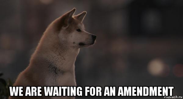 Хатико ждет