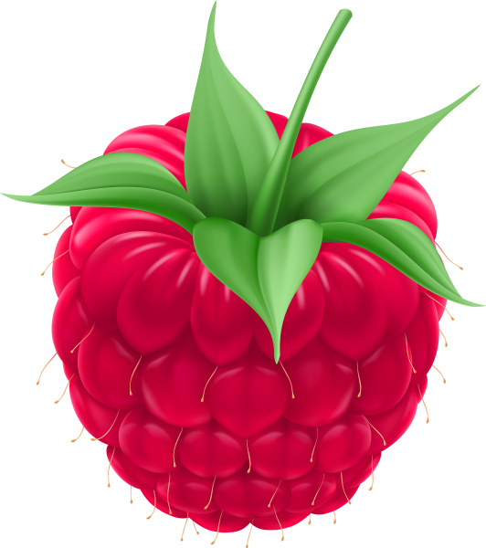 Малина рисунок