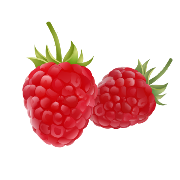 Малина вектор