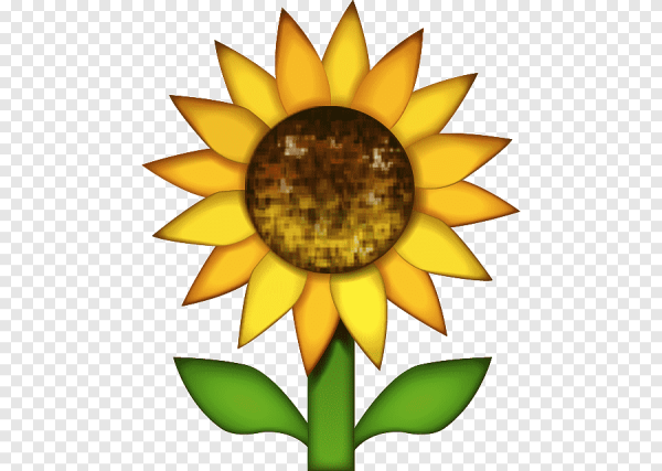 Подсолнух стикер