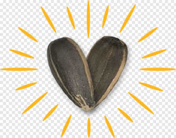 Семечка на прозрачном фоне