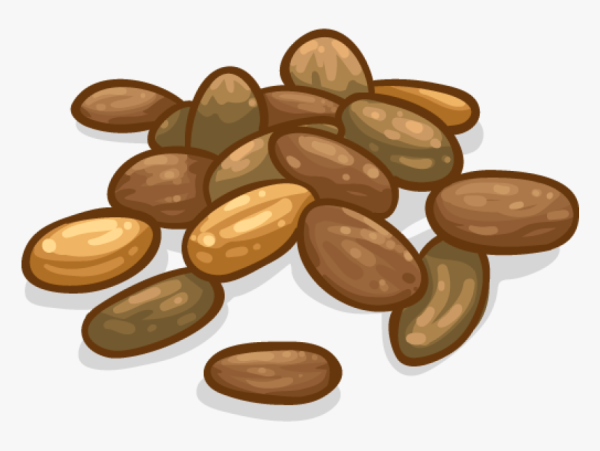 Семена картинка для детей