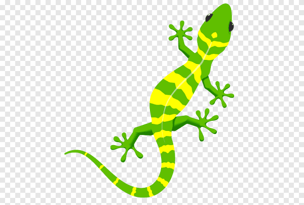 Ящерица для детей