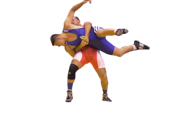 Вольная борьба