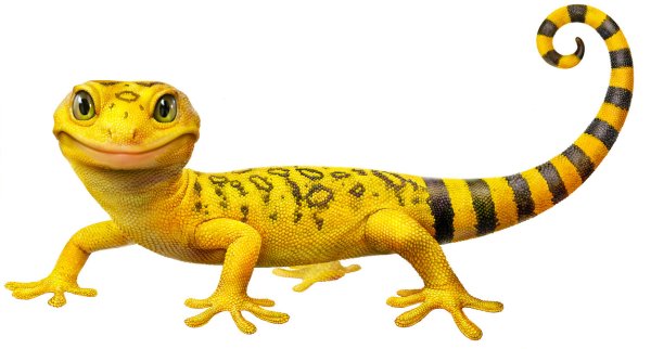 Ящерица клипарт