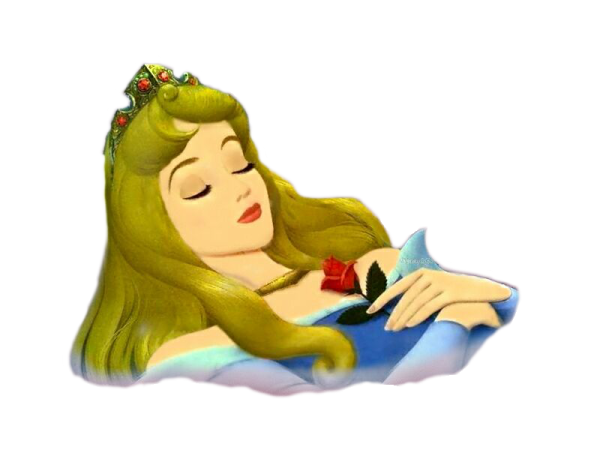 Вовка в тридевятом царстве Василисы