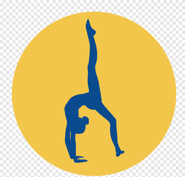 Значок гимнастика