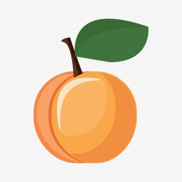 Абрикос нарисовать