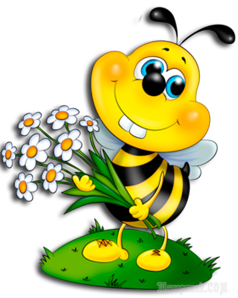 Веселая Пчелка