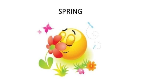 Смайлик для ватсап что нибудь Весеннее