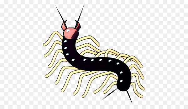 Сороконожка анимация