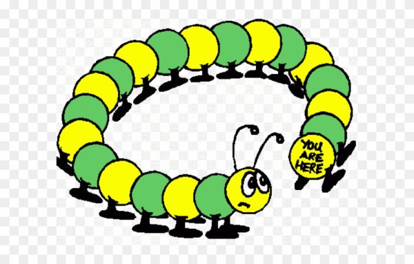 Гусеница - сороконожка