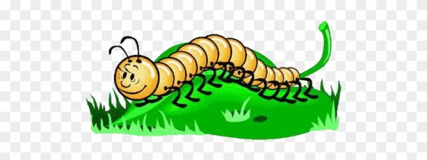 Гусеница - сороконожка