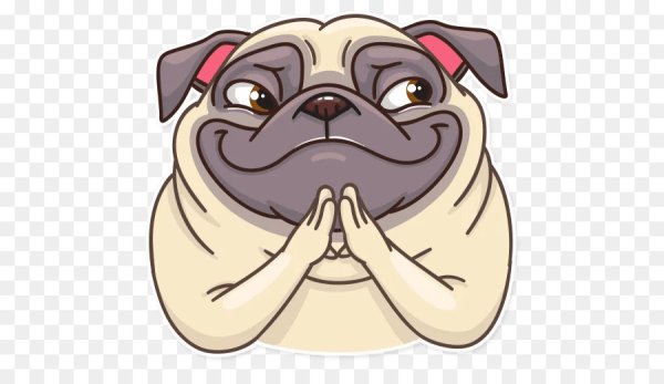 Стикеры Мопс Бун