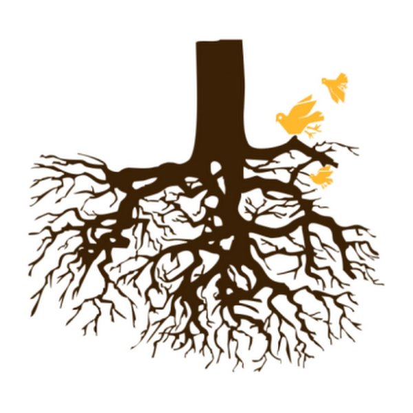 Дерево с корнями на прозрачном фоне