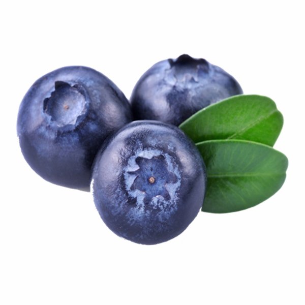 Голубика на белом фоне