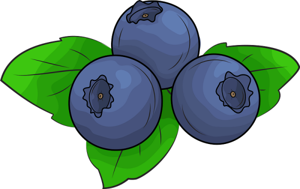 Черника Графика